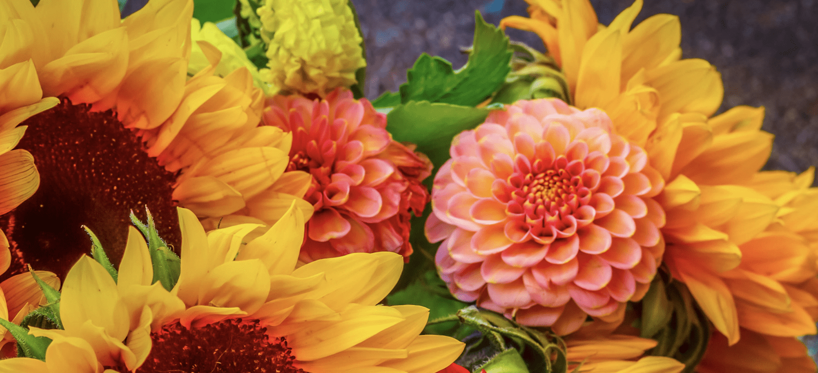 Why choose Morningside for Fall Flowers